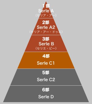 イタリアでフットサル留学 海外サッカー留学ならユーロプラスへ